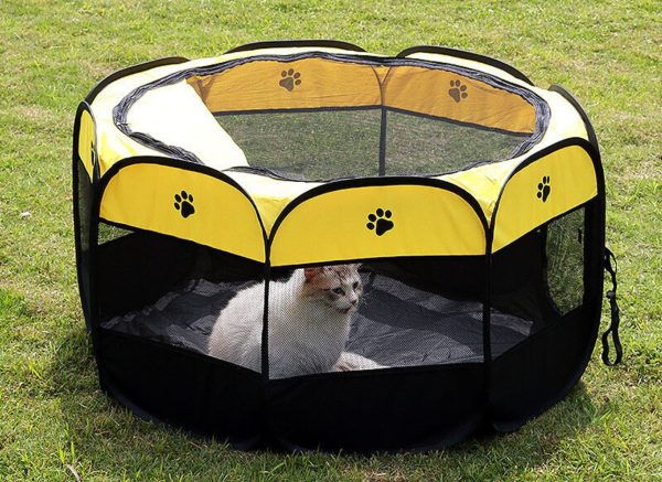 Cat Round Shape House